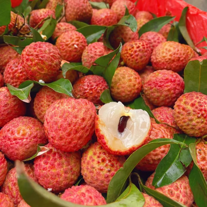 100% pure & high yield✨high quality seedless lychee seeds😋🔥buy 1 get 1 free🔥