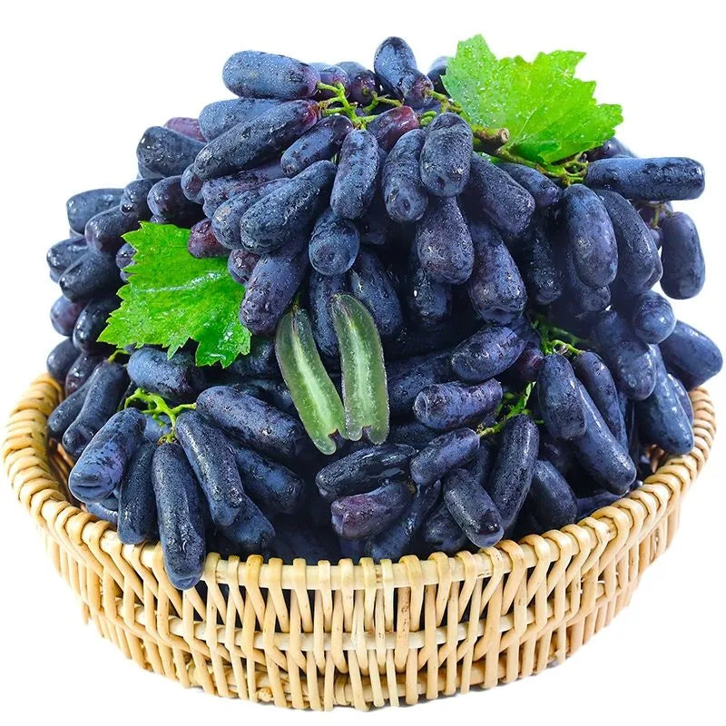 ✨last day 50% off 🍇 high-quaility sapphire grapes seeds🍇✨ 98% germination（high yield）🔥 buy 1 get 1 free! 🔥