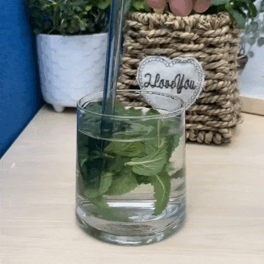 🌿 mint seeds – fresh, healthy & easy to grow | 🔥buy 1 get 1 free🔥