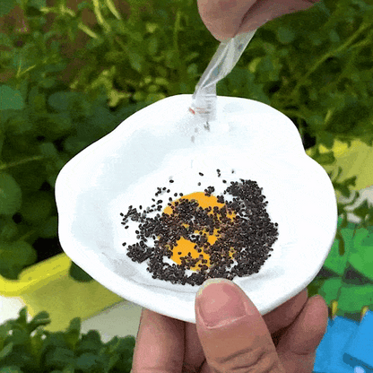 🌿 Mint Seeds – Fresh, Healthy & Easy to Grow | 🔥Buy 1 Get 1 Free🔥