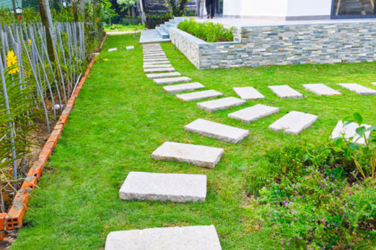 🌱 SPECIAL GRASS SEEDS | 🔥Buy 1 Get 1 Free🔥