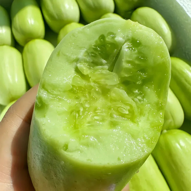 🎊mini little cucumber seeds🪴four seasons balcony pot planting vegetables + 100 grams organic pot mix free