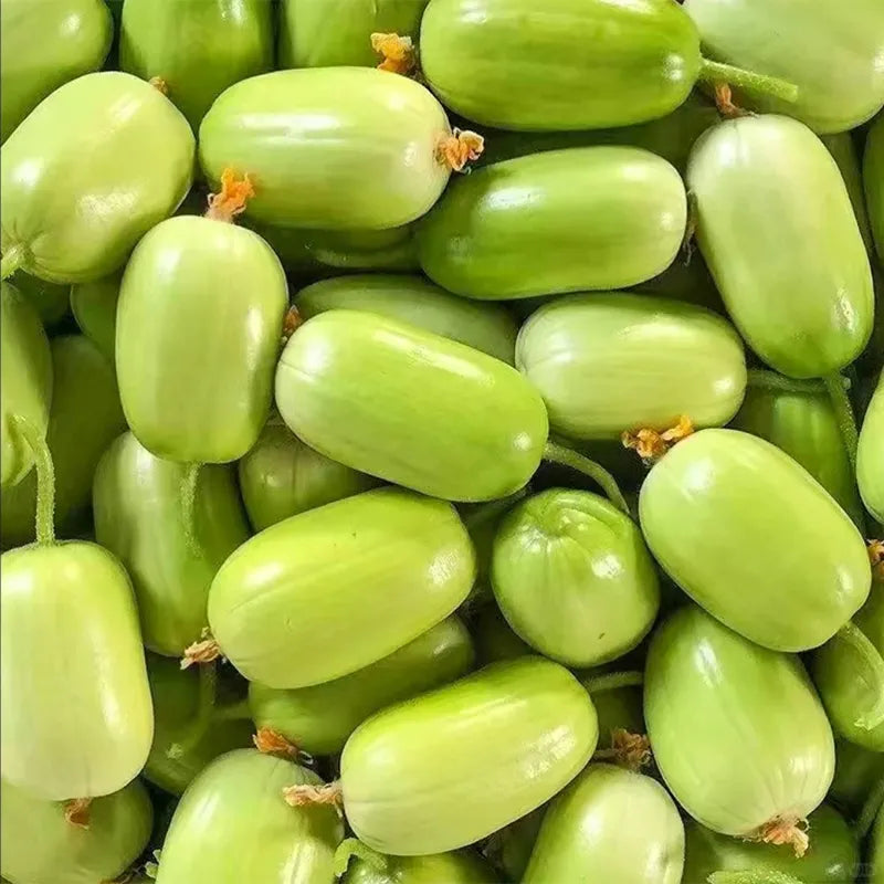 🥒Jade Girl Cucumber🎊Mini Little Cucumber Seeds🪴Four Seasons Balcony Pot Planting Vegetables