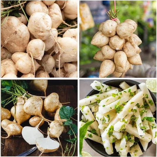 MUMA MOUNTAIN SWEET POTATO SEEDS | 🔥Buy 1 Get 1 Free🔥