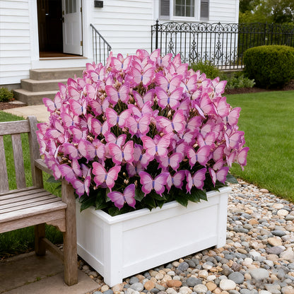 ✨EASY-TO-GROW SEEDS — BUTTERFLY BLOOMS FOR A LIVING GARDEN