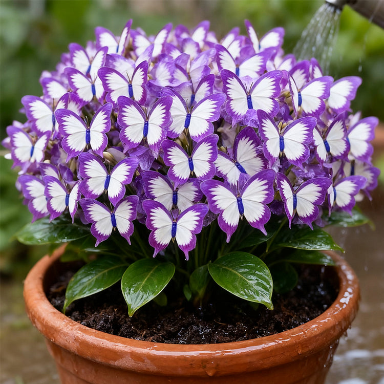 ✨easy-to-grow seeds — butterfly blooms for a living garden + 100 grams organic pot mix free