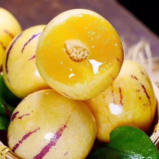 🌿✨Ginseng fruit seeds: Discover the power of nature in your garden! 🔥Free 100 grams Organic Pot mix🔥