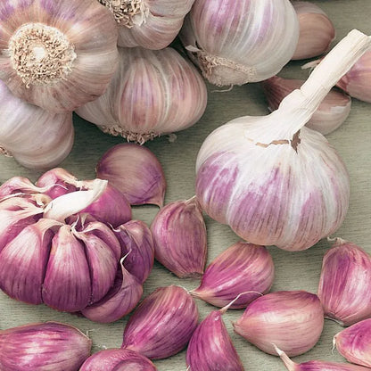 ✨🌐Single Clove Garlic: Bold Flavor, Healthy Choice!🌐 🔥BUY 1 GET 1 FREE! 🔥