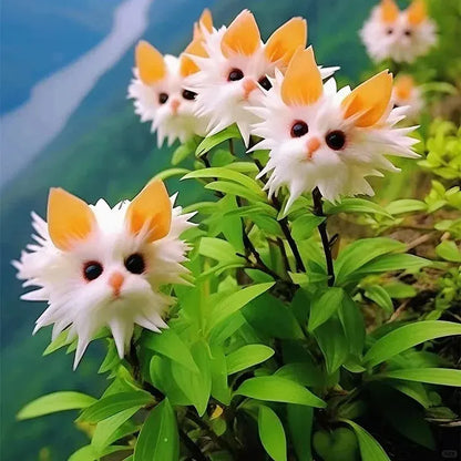 Cat Eye Dazzle Seeds and Free Organic Pot Mix 100 Gram