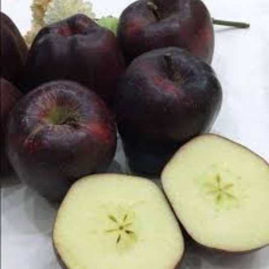 🍎 Black Diamond Apple Plant Seeds 🍎 Rare Dark Red Apple Tree Sapling , Exotic Sweet and Crisp Fruit Plant , Live Seb Tree for Home Garden and Orchard🍎🌱BUY 1 GET 1 FREE! 🌱🍎