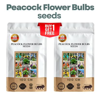 🌸🌸 Peacock Flower Bulbs — Plant hope, watch splendor bloom!🌸🌸 🌱BUY 1 GET 1 FREE! 🌱