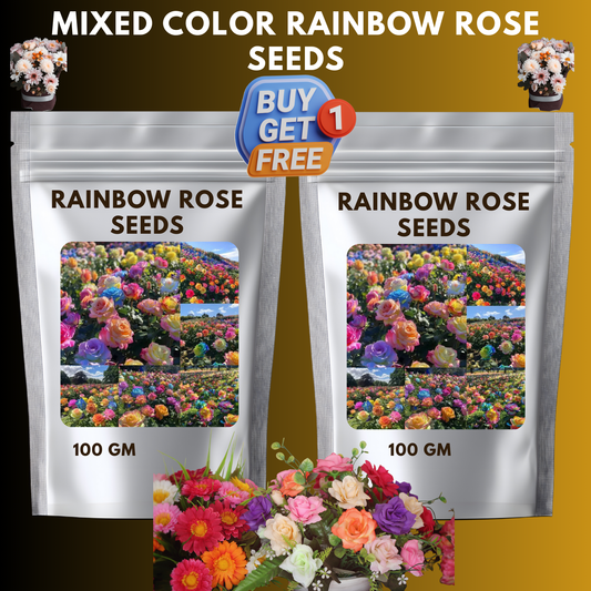 🌸Mixed Color Rainbow Rose Seeds – 🌿Perennial Flower Seeds / Large Flowers / Easy to Grow🌸🔥