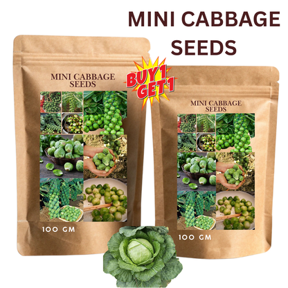 🏆✨ 50% Off for a Limited Time🔥MINI CABBAGE SEEDS🔥BUY 1 GET 1 FREE! 🔥