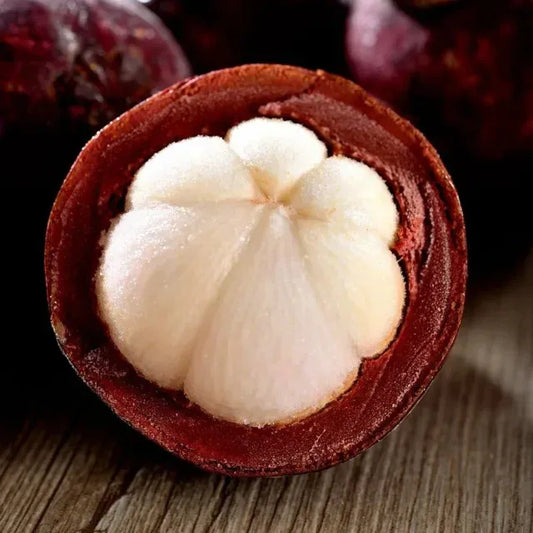 ✨Mangosteen Seeds – High yield, sweet and juicy flesh! ✨🔥Buy 1 Get 1 Free🔥