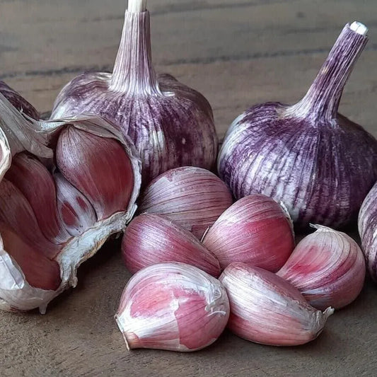 ✨🌐Single Clove Garlic: Bold Flavor, Healthy Choice!🌐 🔥BUY 1 GET 1 FREE! 🔥