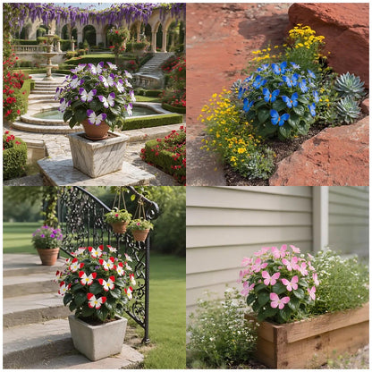 ✨EASY-TO-GROW SEEDS — BUTTERFLY BLOOMS FOR A LIVING GARDEN