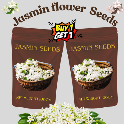 🌸Winter-Friendly Hanging Jasmine Seeds—Dreamy Indoor Flower🌿🌸❄️ BUY 1 GET 1 FREE! ❄️🌸