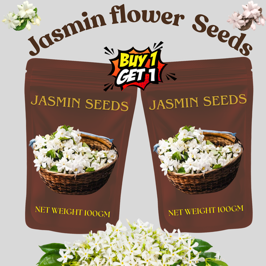 🌸Winter-Friendly Hanging Jasmine Seeds—Dreamy Indoor Flower🌿🌸❄️ BUY 1 GET 1 FREE! ❄️🌸