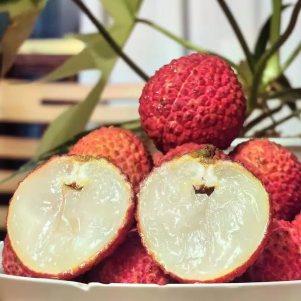 100% pure & high yield✨high quality seedless lychee seeds😋🔥buy 1 get 1 free🔥