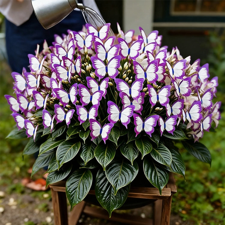 ✨EASY-TO-GROW SEEDS — BUTTERFLY BLOOMS FOR A LIVING GARDEN