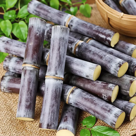 🍃Sweet Harvest Starter Kit 🍃🌱Grow Your Own Sugarcane – High 400 Pills Sugar Cane Seeds ✨ for Easy Home Gardens 🌿! Buy 1 Get 1 Free🌱