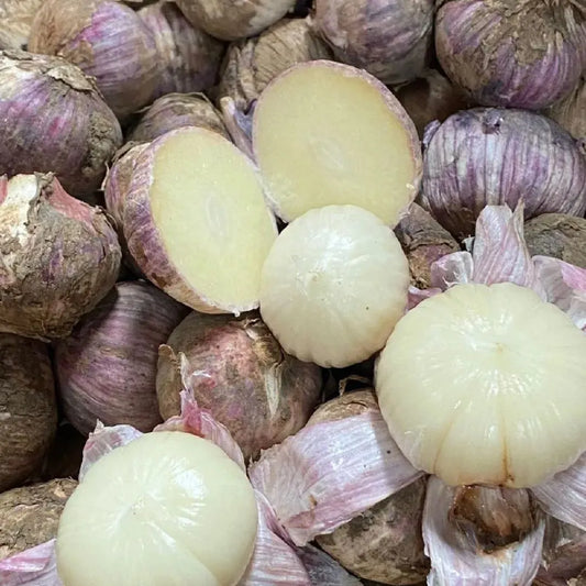 ✨🌐Single Clove Garlic: Bold Flavor, Healthy Choice!🌐 🔥BUY 1 GET 1 FREE! 🔥